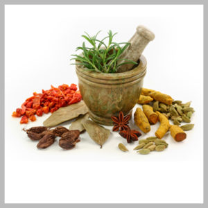 AYURVEDIC SECTION